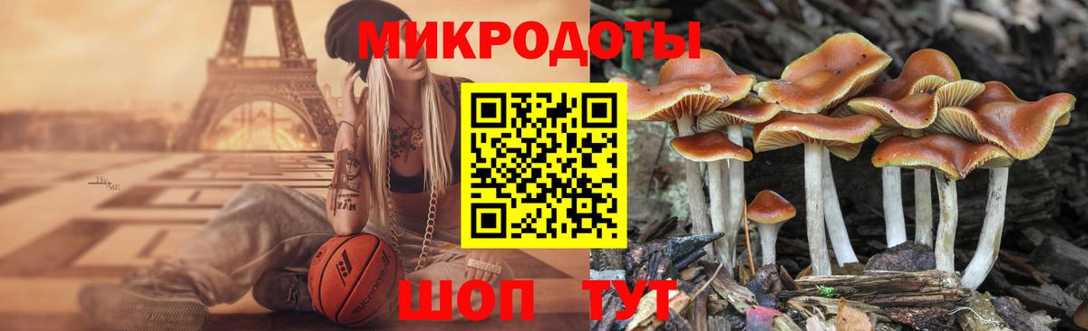 Топки  Галлюциногенные грибы Psilocybe  Вход с VPN 