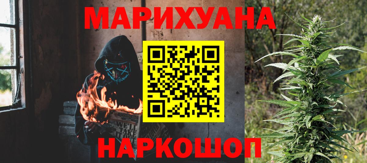 Канабис сатива Топки